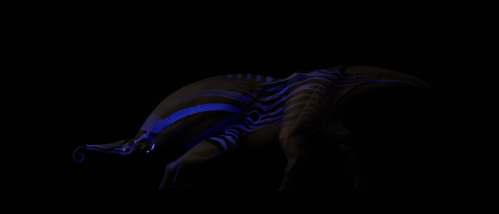 Night form